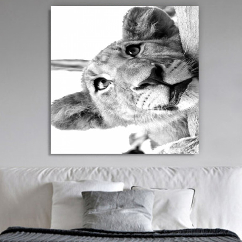 Πίνακας σε καμβά με Ζώα με λιονταράκι